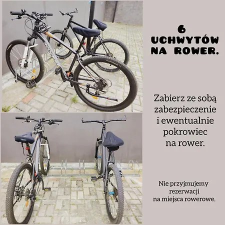 Goscinne Bialy Slon *