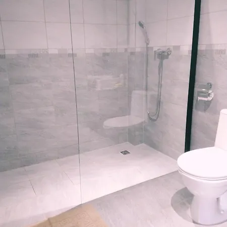 Goscinne Bialy Slon בית אירוח רומיה