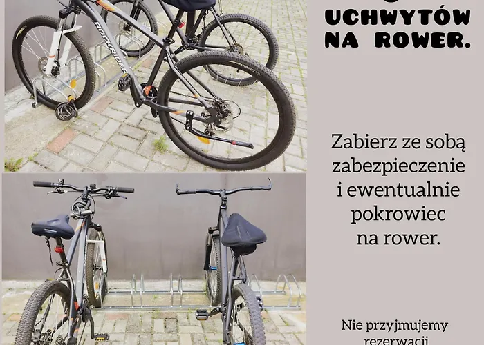 Goscinne Bialy Slon *